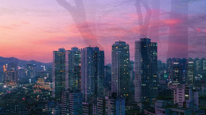 다중채무자 연체 시